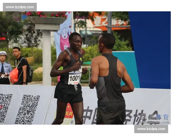 体育比分PC版最新升级版全面解析实时数据助力球迷轻松掌握比赛动态